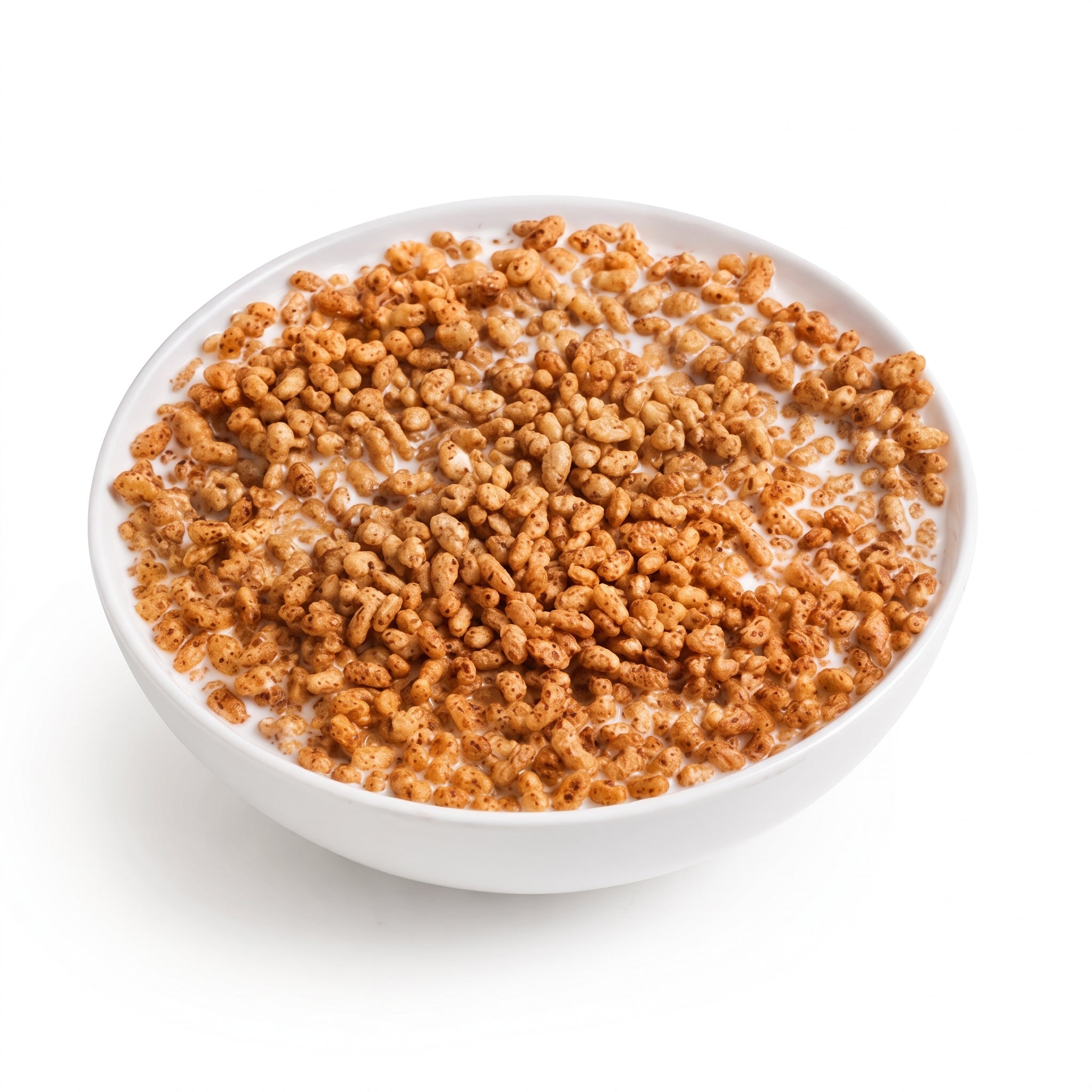 Cinnamon Vanilla Protein Cereal