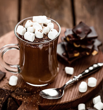 Marshmallow Chocolate Protein Pudding Mix
