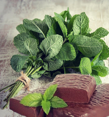 Peppermint Patty