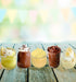 Variety Pack Puddings